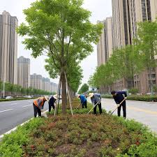 信阳市政园林绿化工程有限公司