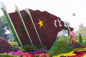今年会官方网站 台州容绿化举报热线